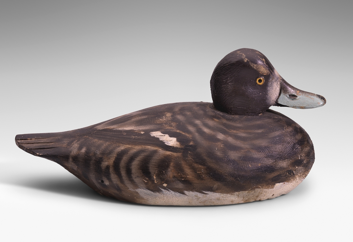 Scaup hen decoy by A. Elmer Crowell (1862-1952), early Twentieth Century. Wood, paint. Gift of Maxim Karolik.
