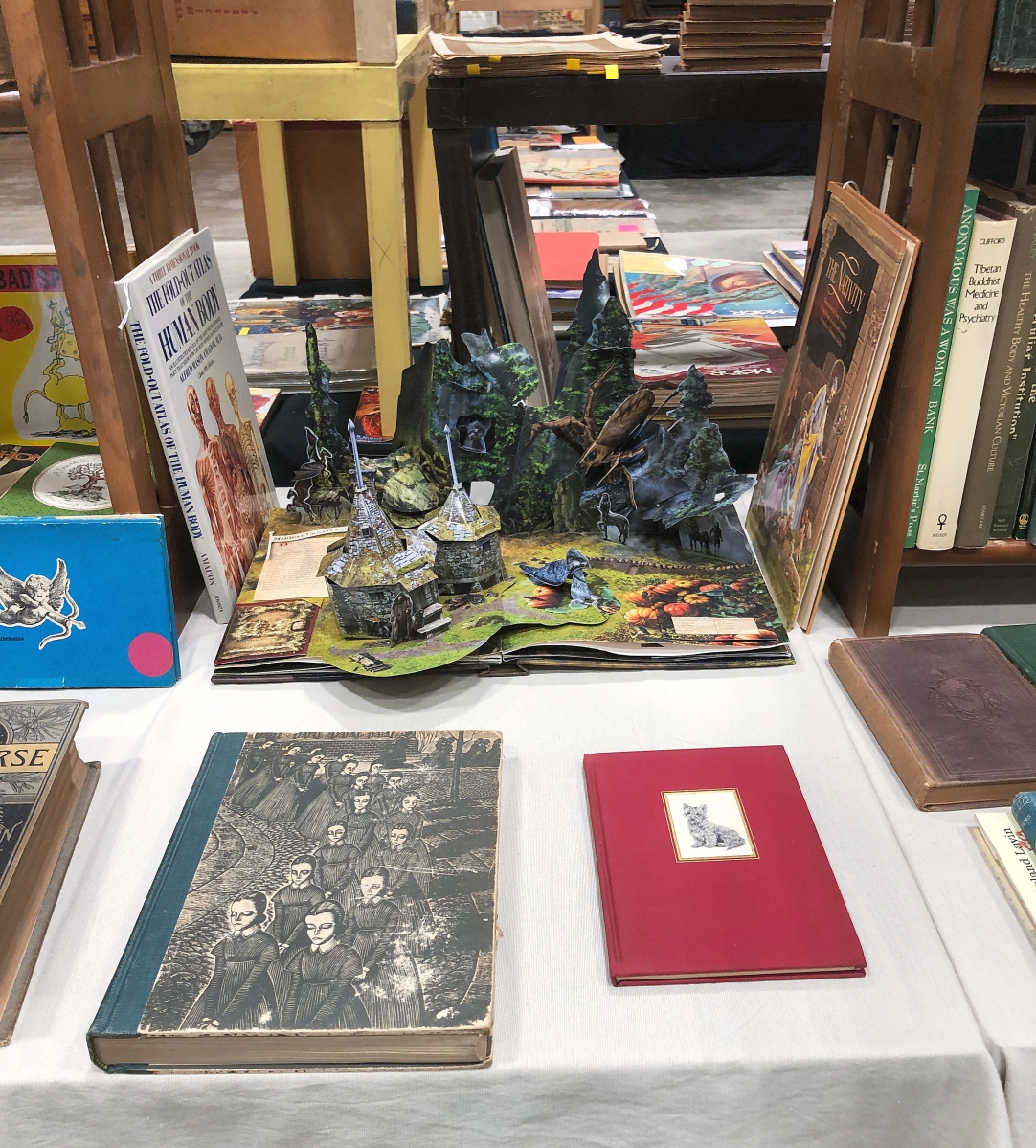 The Book Augur, Newburyport, Mass., brought a selection of local history titles, along with books on architecture. He also had a Harry Potter pop-up.