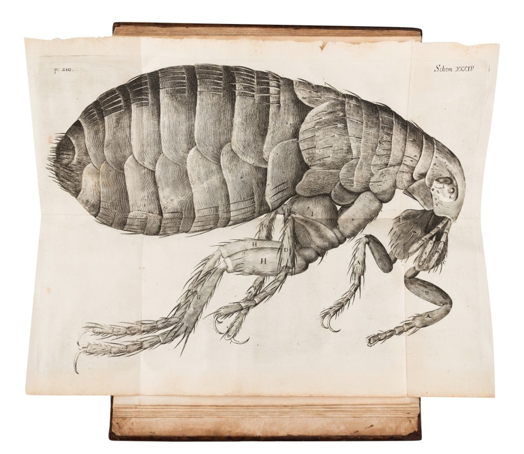 Robert Hooke. Micrographia: Or Some Psychological Descriptions of Minute Bodies Made by Magnifying Glasses. London: for James Allestry, 1667. ($12/18,000)