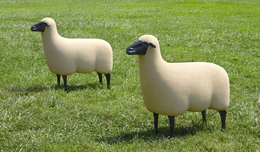 AB Freeman's Sheep