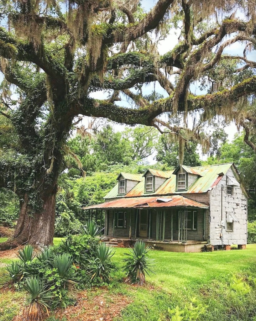 Battle discovered this time capsule in the low country of South Carolina.