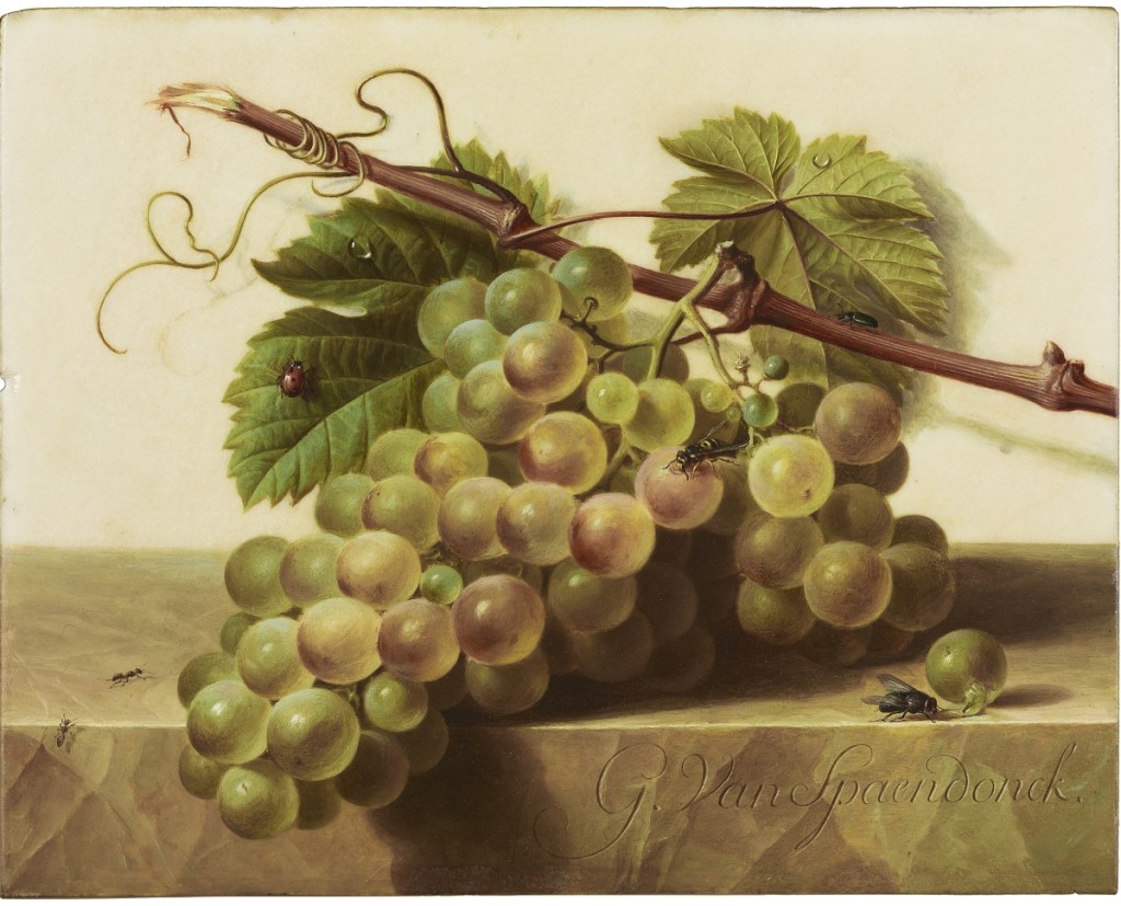 “Grapes with Insects on a Marble Top” by Gerard van Spaendonck (Dutch [active Paris], 1746-1822), circa 1791-95; oil on marble; 7- 3⁄8  by 9¼ by 1/8 inches; The Frick Collection, New York City, Gift of Asbjorn R. Lunde, 2012; ©The Frick Collection.