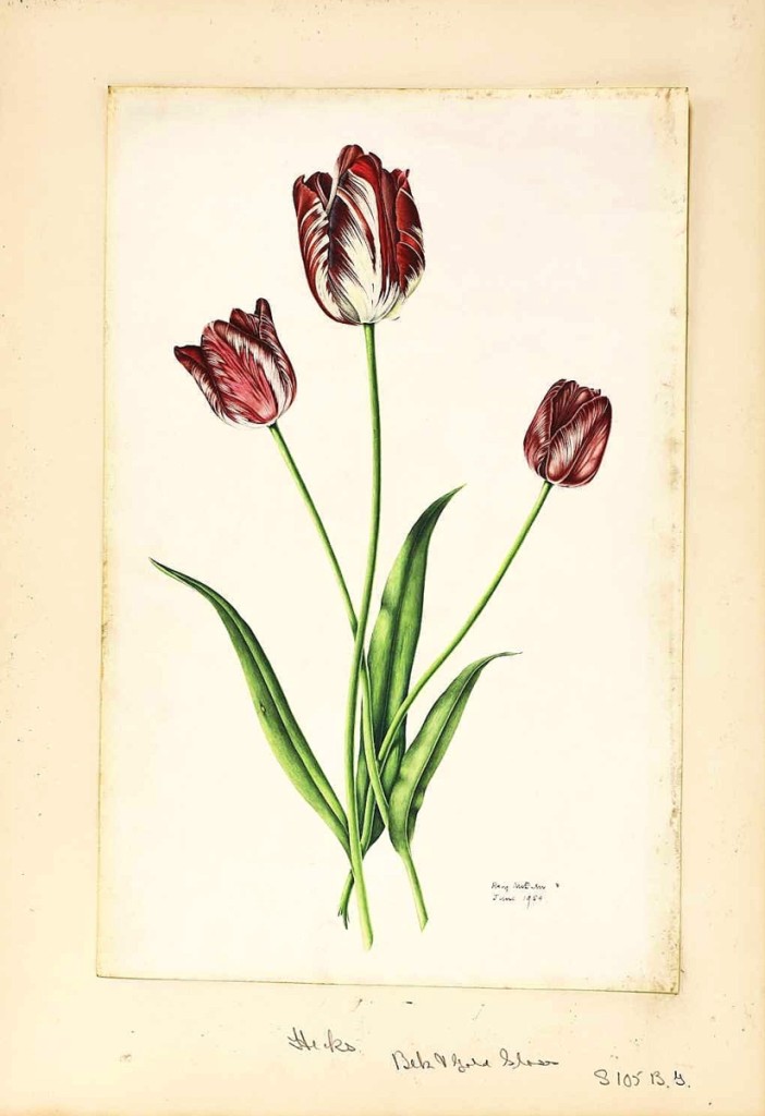 “It was something that was bought when he lived in London,” Luke Macdonald said. “Tulips” by Rory McEwen (1932-1982) brought $32,646, the top price in the sale, from a British trade buyer ($2,6/4,000).