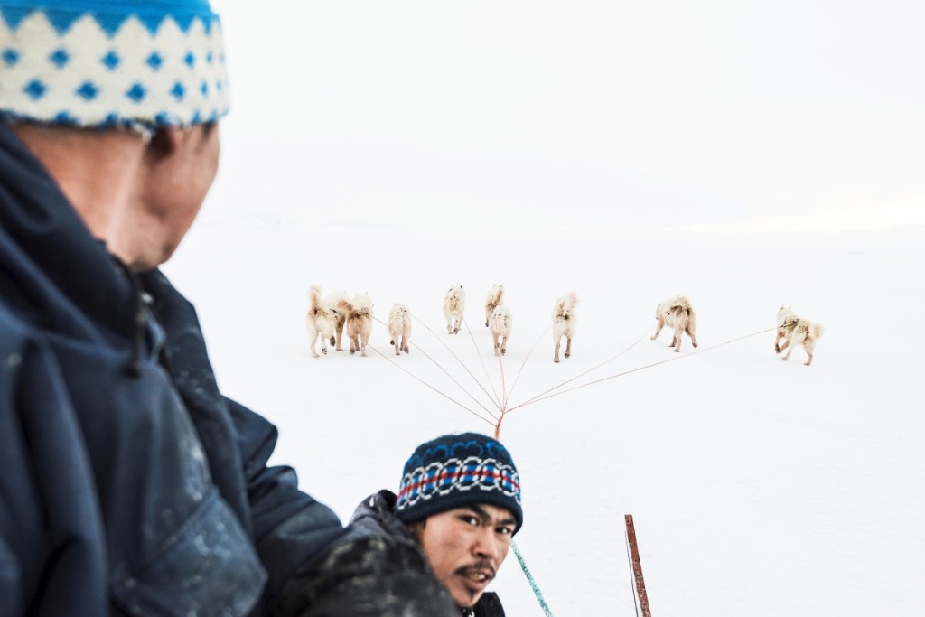 Pujunnguaq Hammond and David Nielsen dog sledging to their fishing holes. Temperature is about -10 degrees Farenheit. Uummannaq Fjord, 2017.         —Denis Defibaugh photo