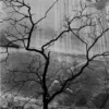 PBA Galleries - Fine Art & Photography