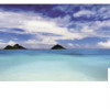 Kodner - Estate Jewelry, Fine Art & Decoration