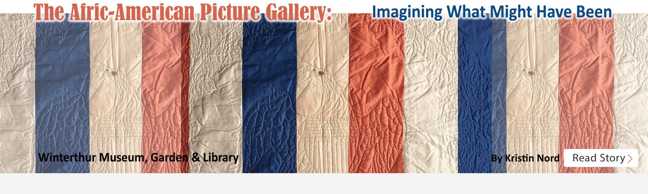 The Afric-American Picture Gallery: Imagining What Might Have Been